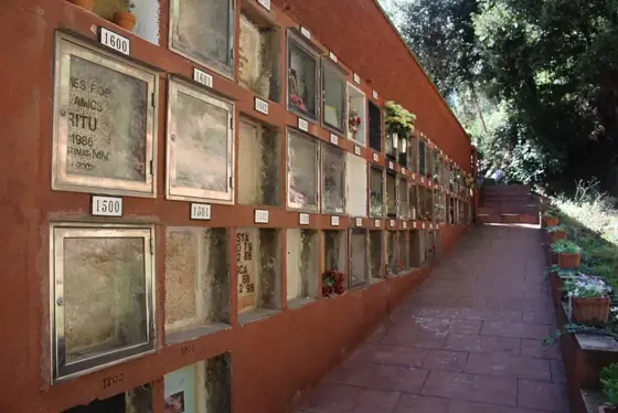 Photograph 13 of the cemetery