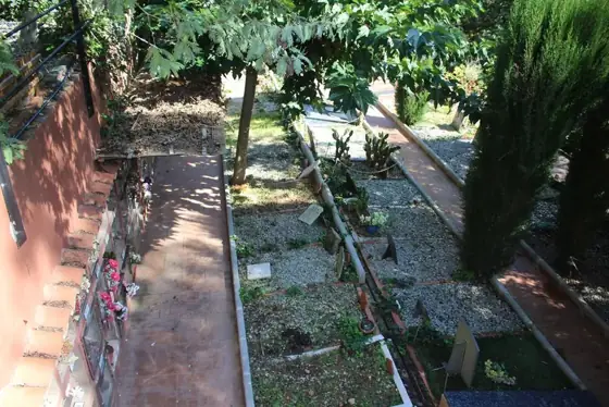 Photograph 19 of the cemetery