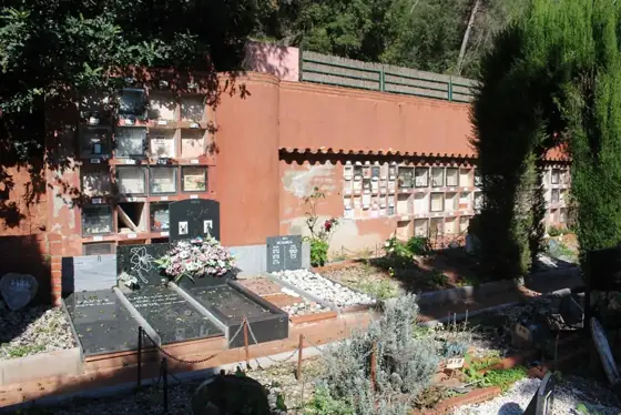 Photograph 23 of the cemetery