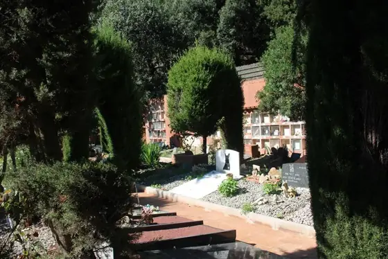 Photograph 24 of the cemetery