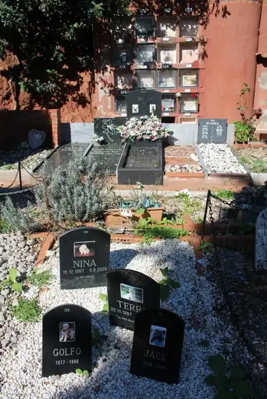 Photograph 25 of the cemetery
