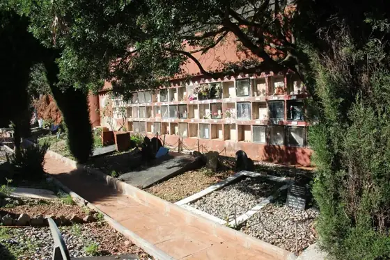 Photograph 28 of the cemetery