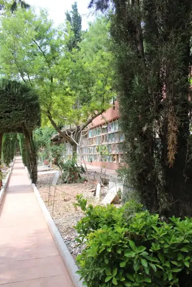 Photograph 29 of the cemetery