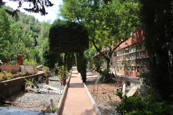 Photograph 31 of the cemetery