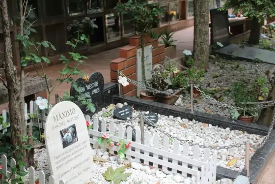Photograph 48 of the cemetery