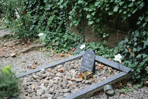 Photograph 50 of the cemetery
