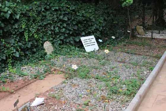 Photograph 54 of the cemetery