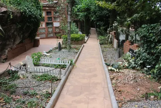 Photograph 55 of the cemetery