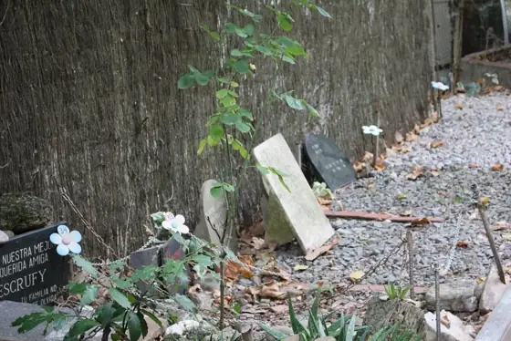 Photograph 62 of the cemetery