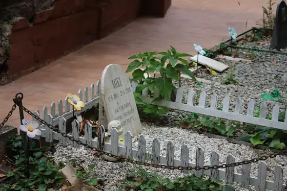 Photograph 63 of the cemetery