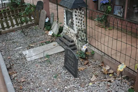 Photograph 65 of the cemetery