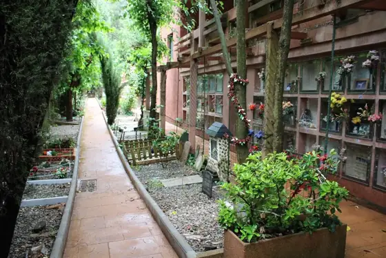 Photograph 70 of the cemetery