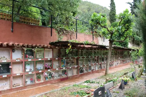 Photograph 73 of the cemetery