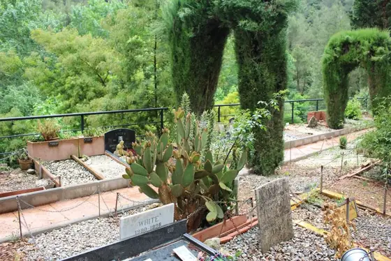 Photograph 74 of the cemetery
