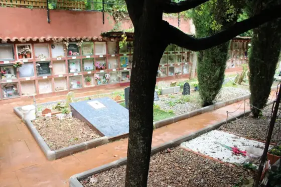 Photograph 75 of the cemetery