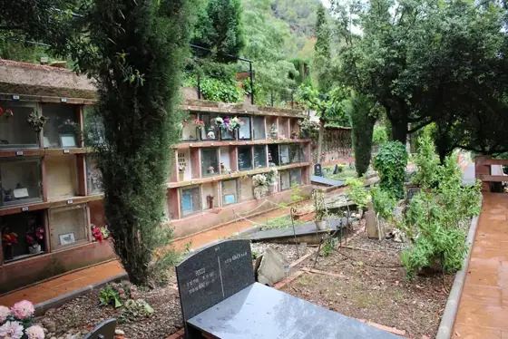 Photograph 76 of the cemetery