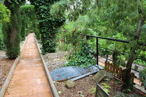 Photograph 77 of the cemetery