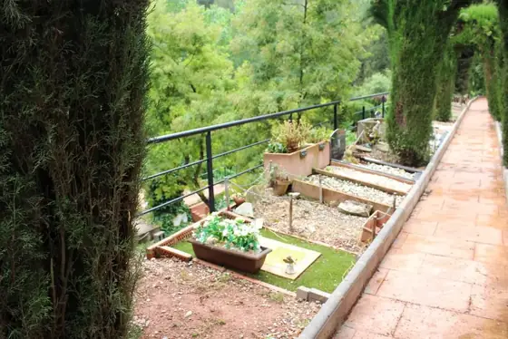 Photograph 78 of the cemetery