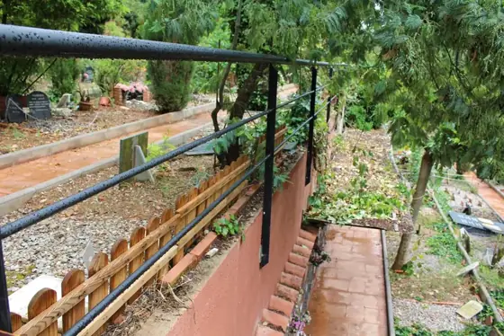 Photograph 79 of the cemetery