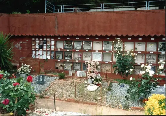 Photograph 89 of the cemetery