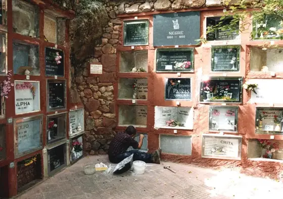 Photograph 95 of the cemetery