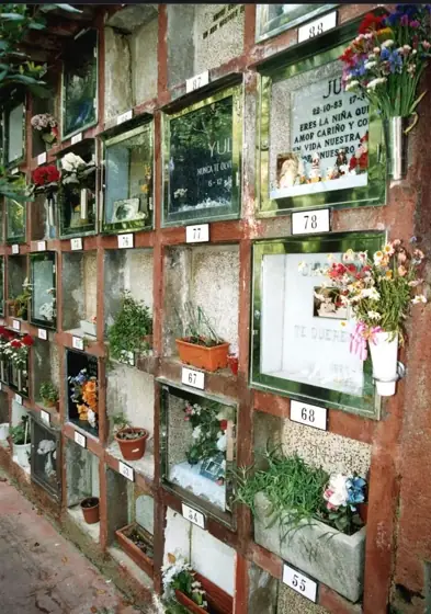 Photograph 96 of the cemetery