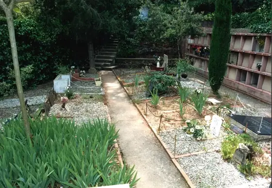Photograph 100 of the cemetery