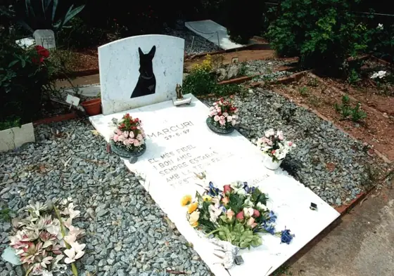 Photograph 101 of the cemetery