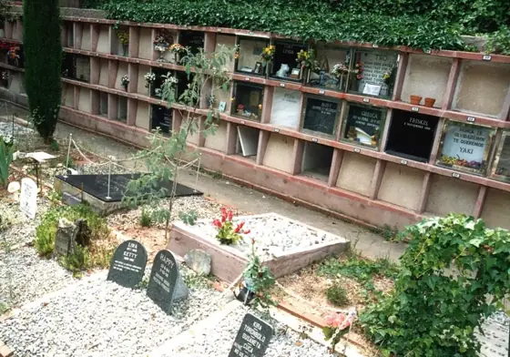 Photograph 102 of the cemetery