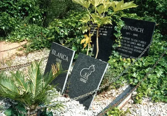 Photograph 103 of the cemetery