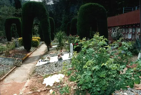 Photograph 105 of the cemetery