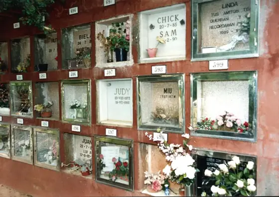 Photograph 106 of the cemetery