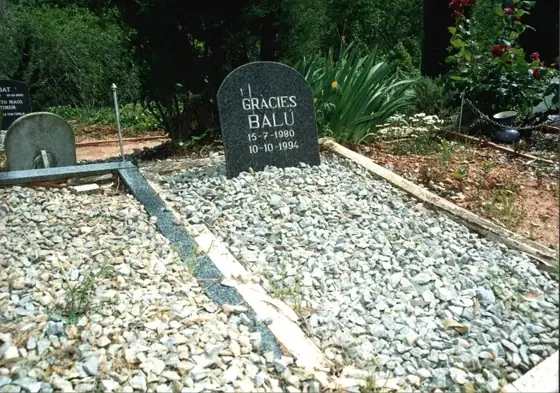 Photograph 107 of the cemetery