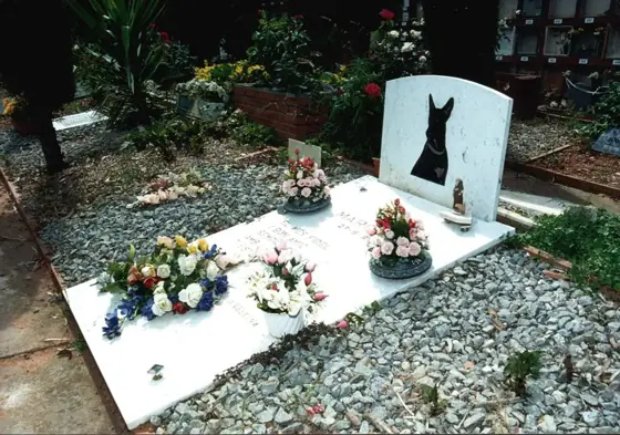 Photograph 109 of the cemetery