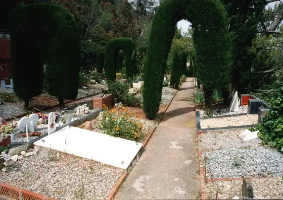 Photograph 110 of the cemetery