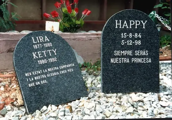 Photograph 111 of the cemetery