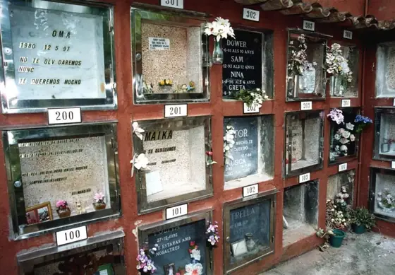 Photograph 112 of the cemetery