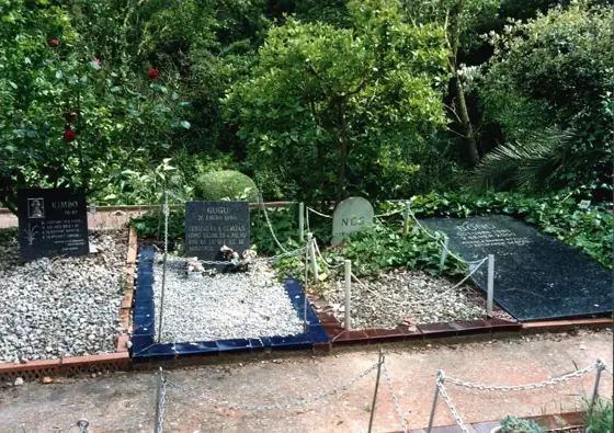 Photograph 117 of the cemetery