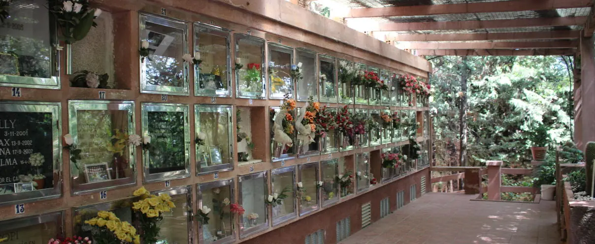 Nínxols amb flors i records