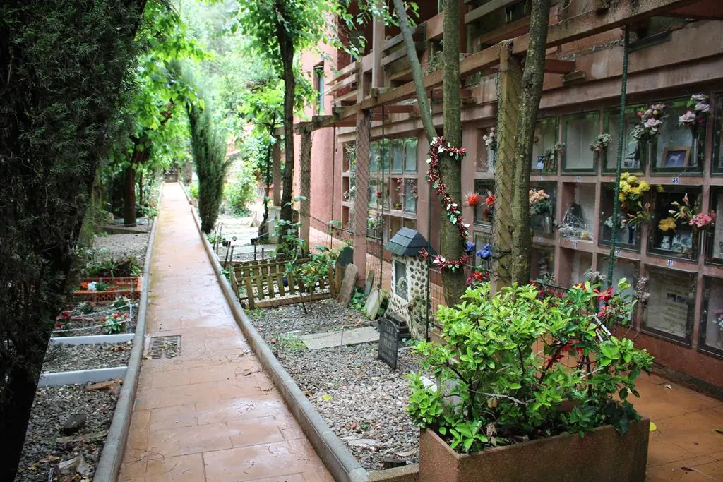 Passeig entre els nínxols